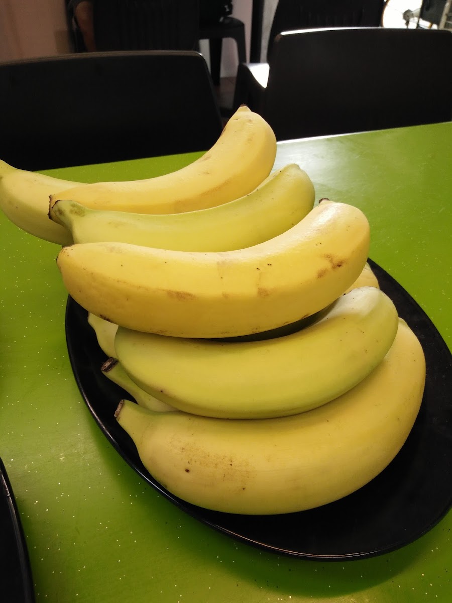 New Rezki Restaurant.pte.ltd-8